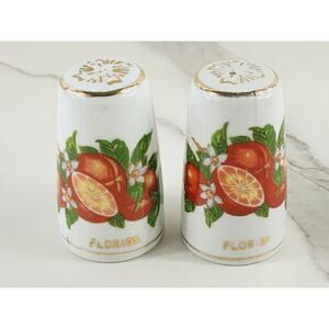 Mid Century Salt & Pepper Shakers Florida Orange Design 3" Porcelain 80's Japan